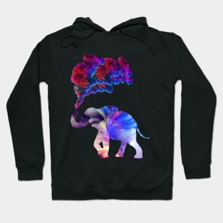 Rainbow Elephant Hoodie